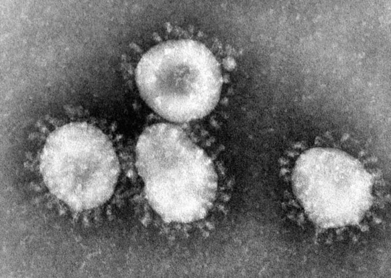 新型コロナウイルス感染症に係るセーフティネット保証（4号）認定について